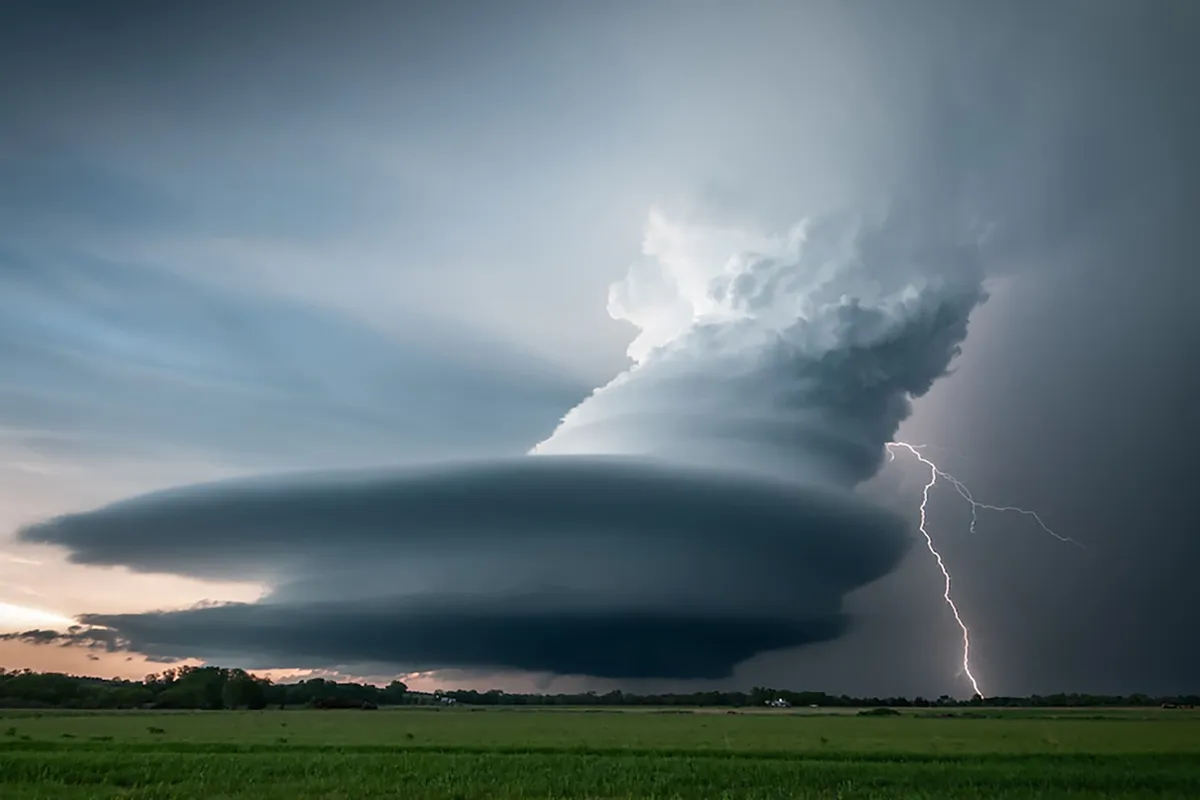 bear-images.sfo2.cdn.digitaloceanspaces.com image