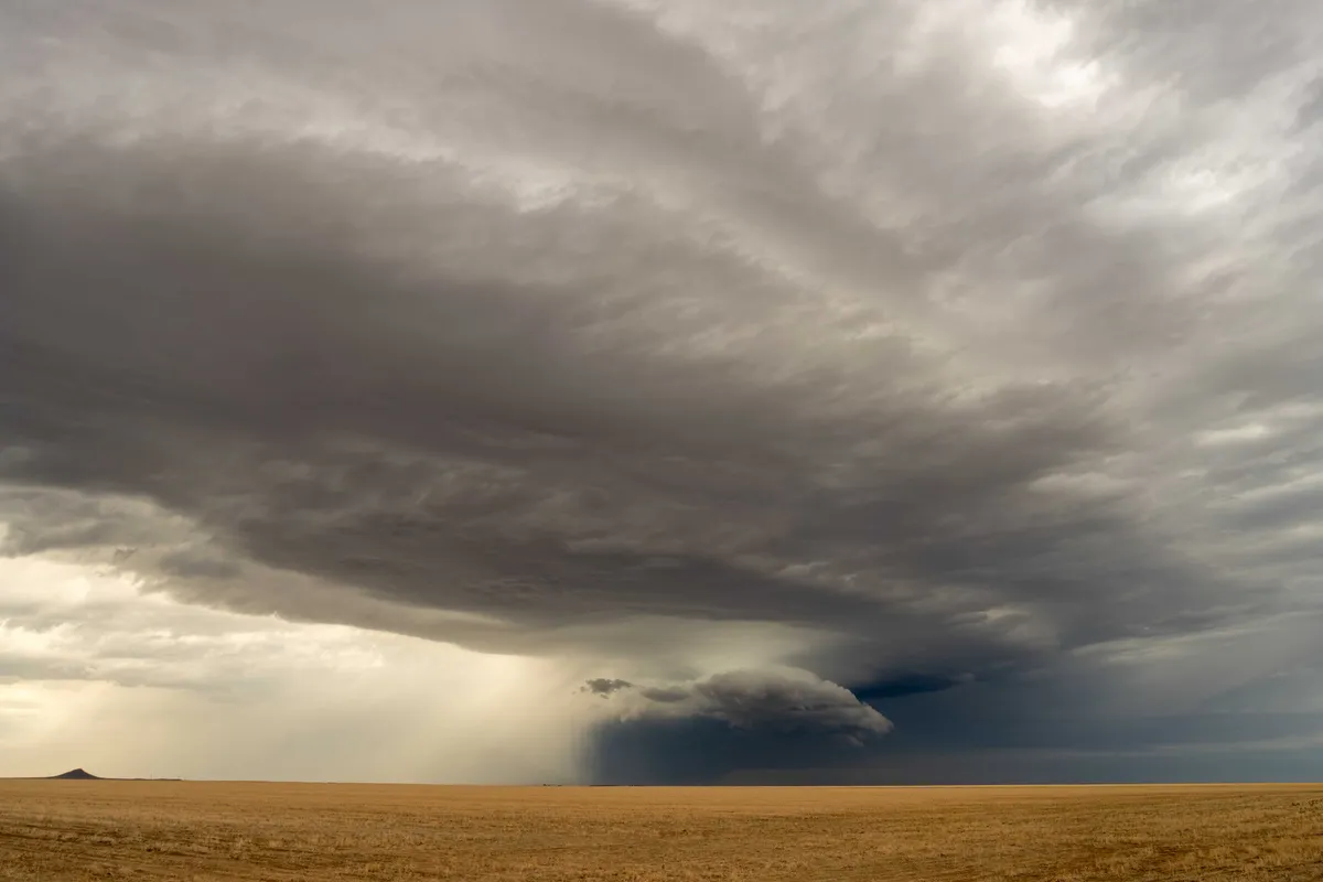 IMG_5288-Enhanced-NR-2