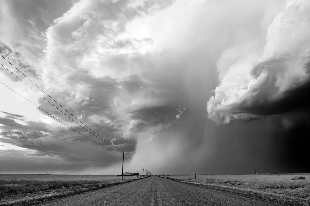 IMG_5309-Enhanced-NR