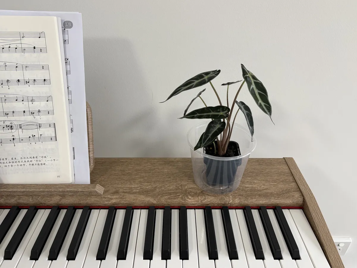 微信图片_20260201191531_26_2