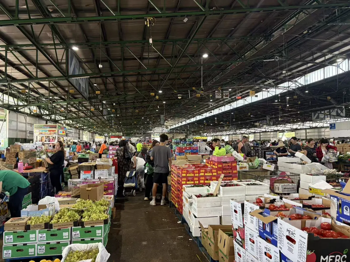 微信图片_20260207131954_31_2