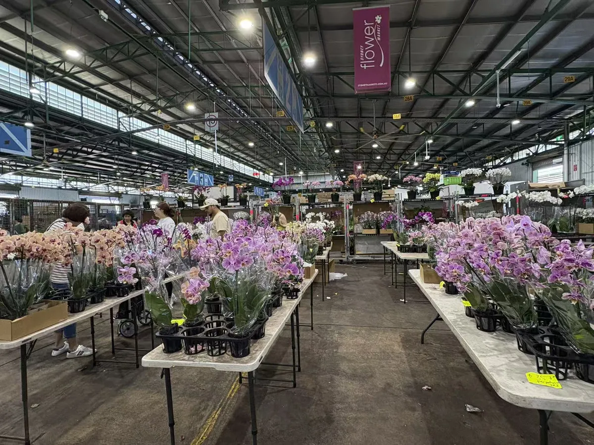 微信图片_20260207131955_32_2