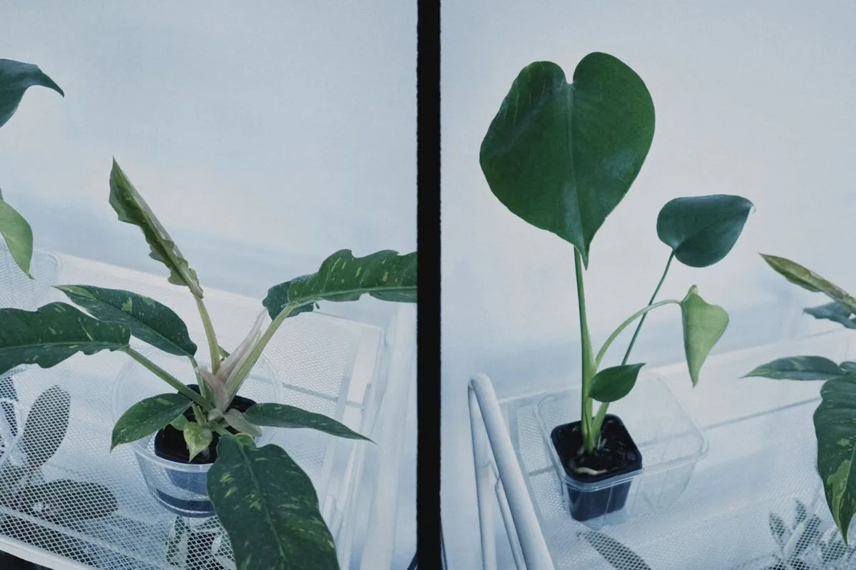 微信图片_20260419190545_116_2