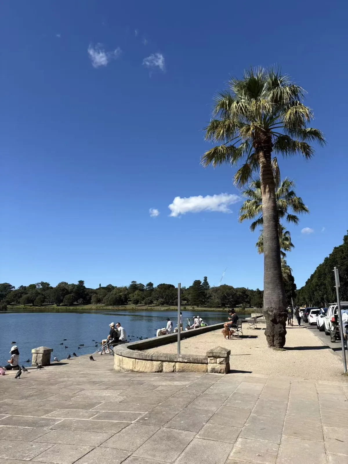 微信图片_20260426173547_119_2