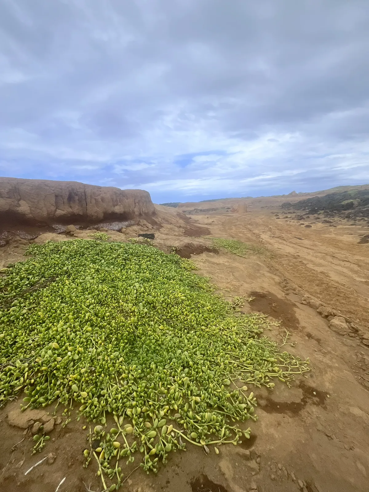 papakolea