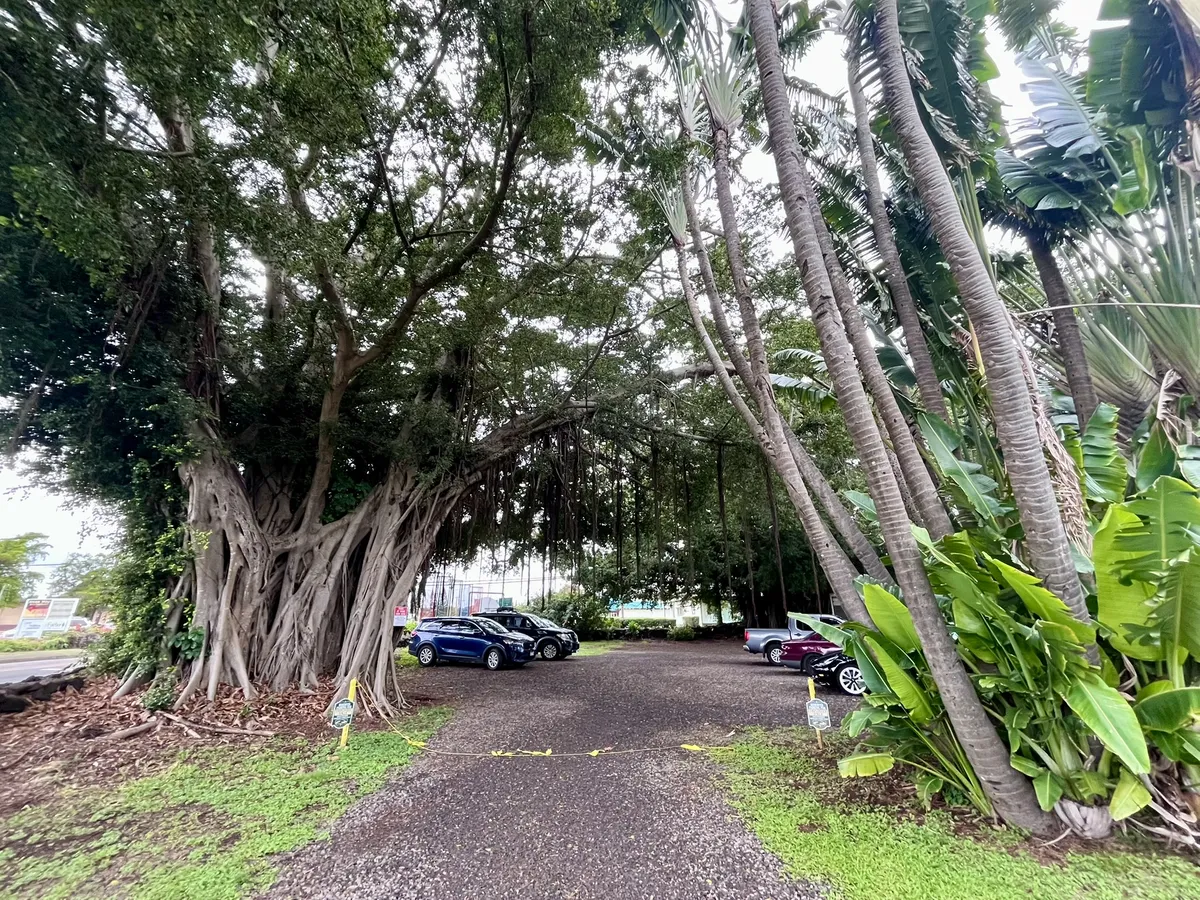 punaluu