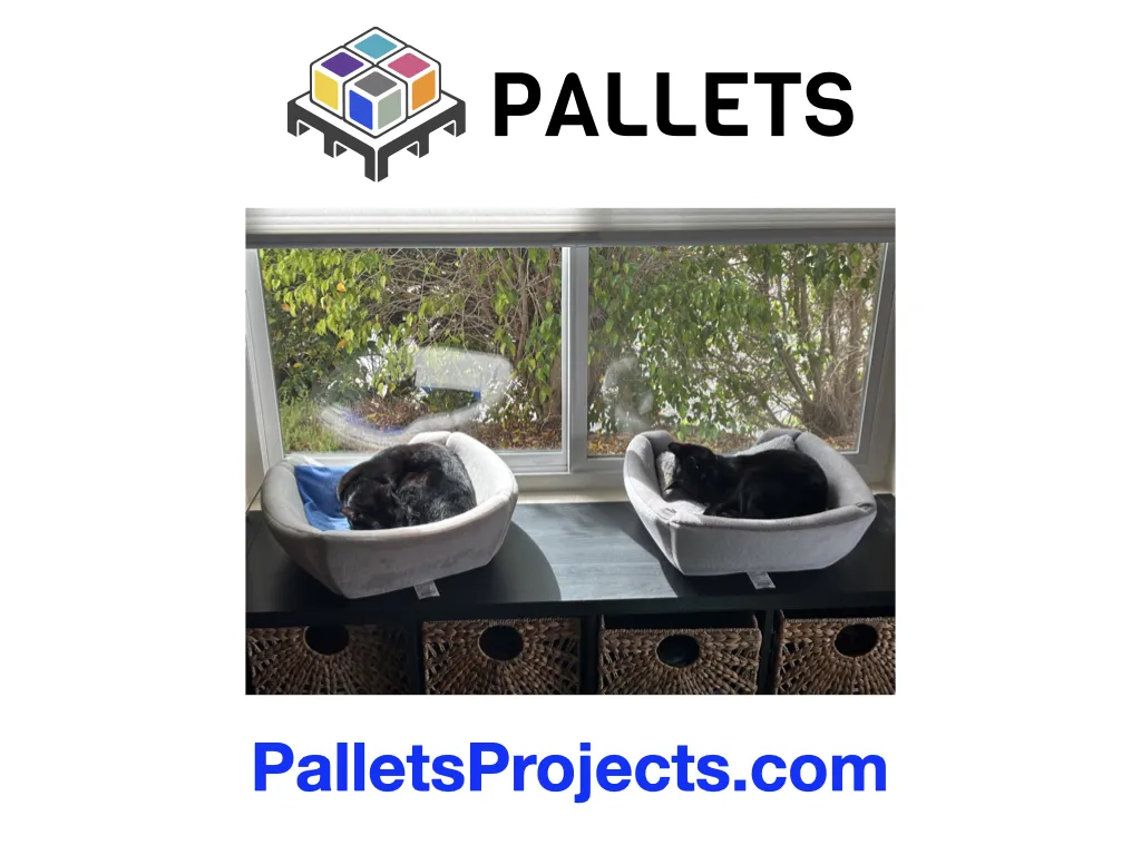 Pallets logo and URL, but mostly a picture of Juniper and Mochi each asleep in their own cat bed, next to a window with light and green plants outside