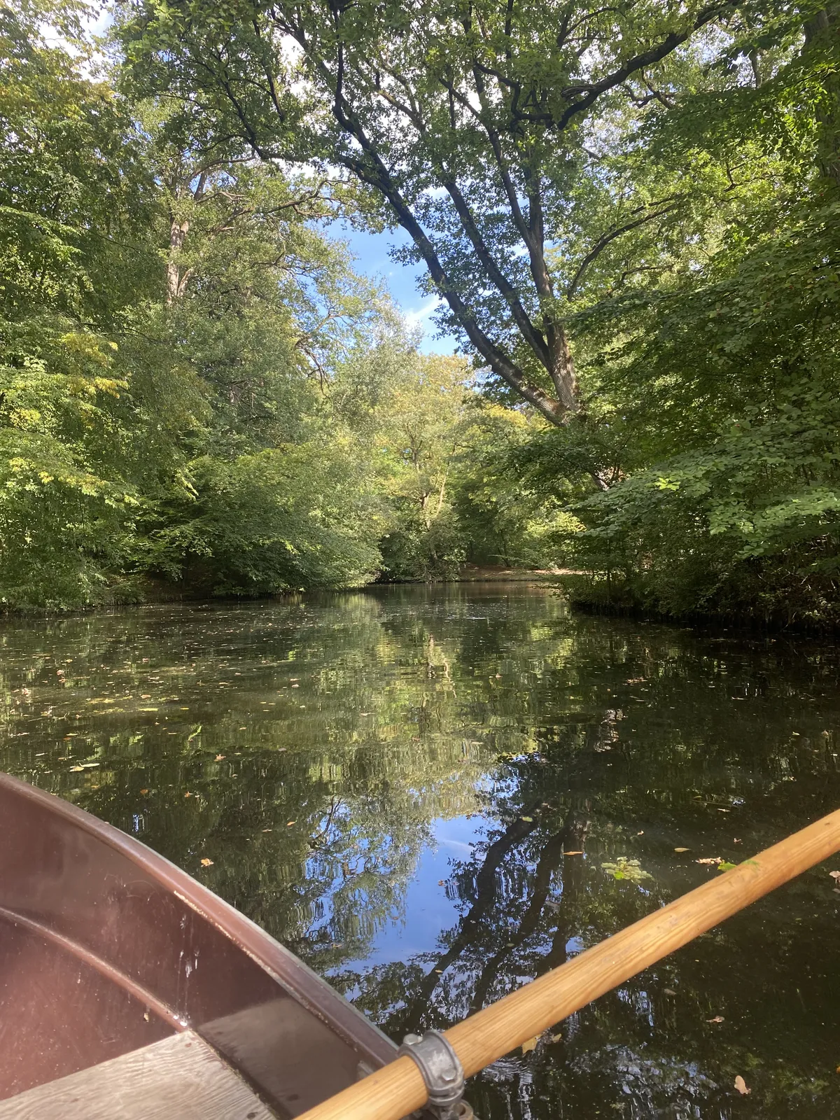 Boat_Forest