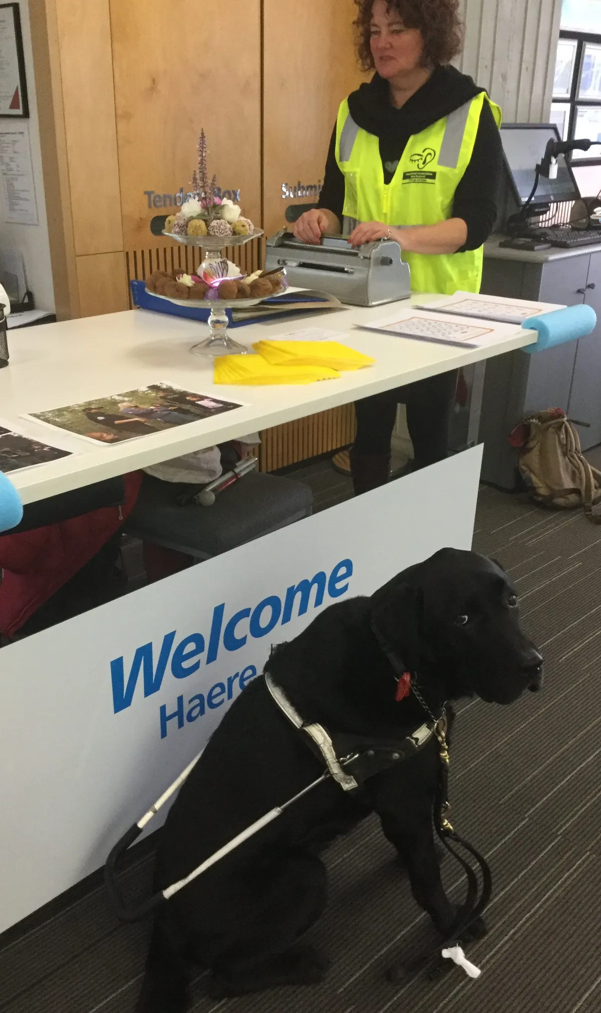 Amanda and Wallace, the black guide dog.