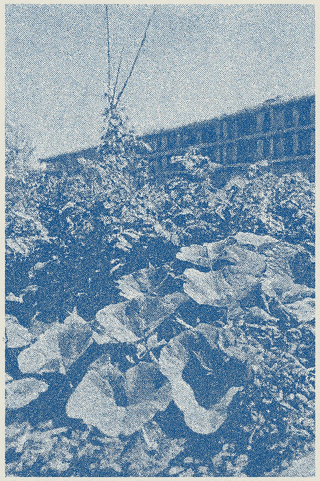 dithered image