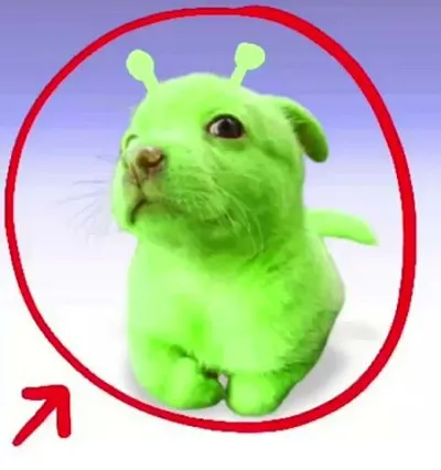 click for full-width image