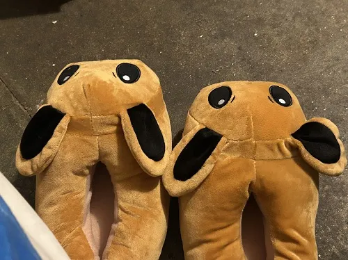 click for full-width image