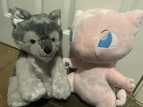 click for full-width image