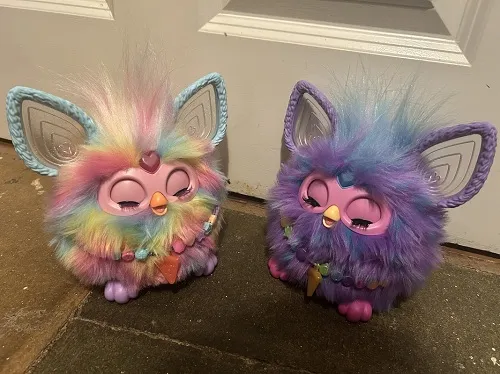 click for full-width image