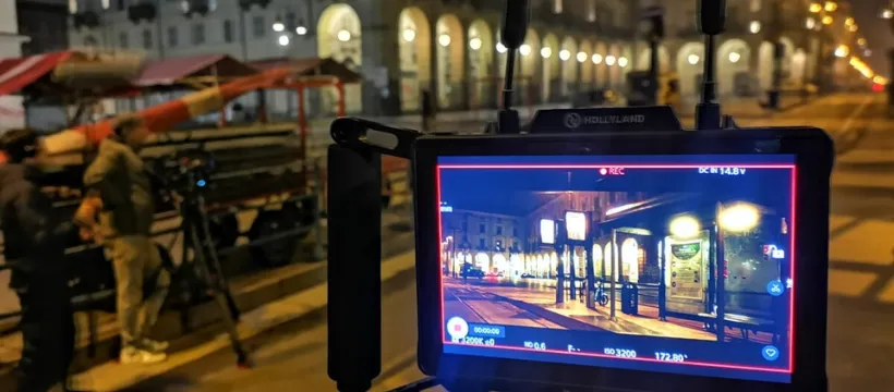 la-vendetta-delle-formiche