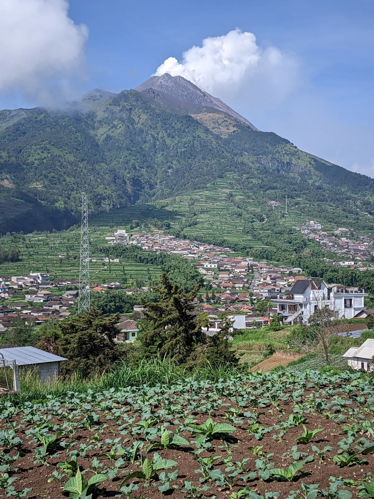Merapi