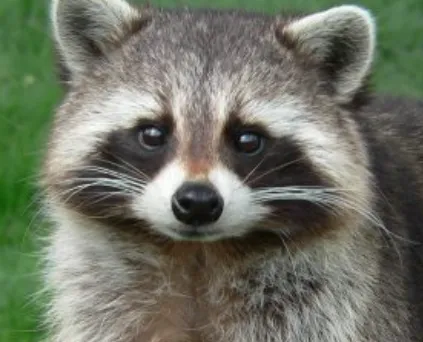 Screenshot_20260423-111738