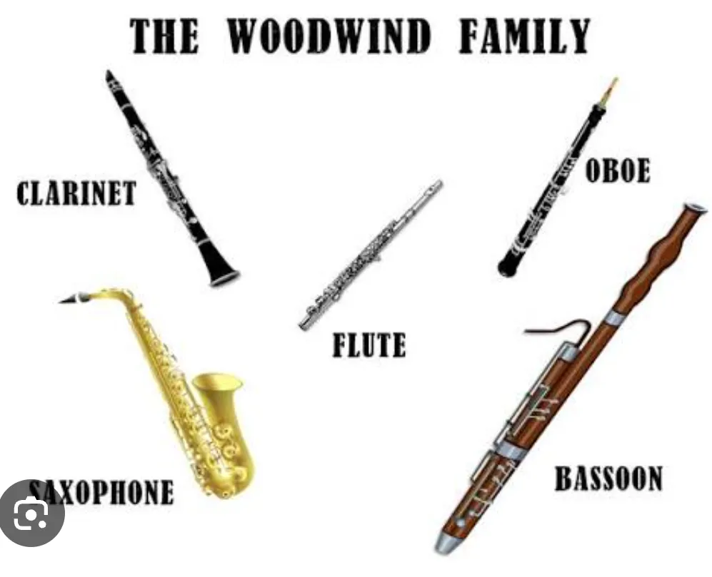 Screenshot_20260428-161349