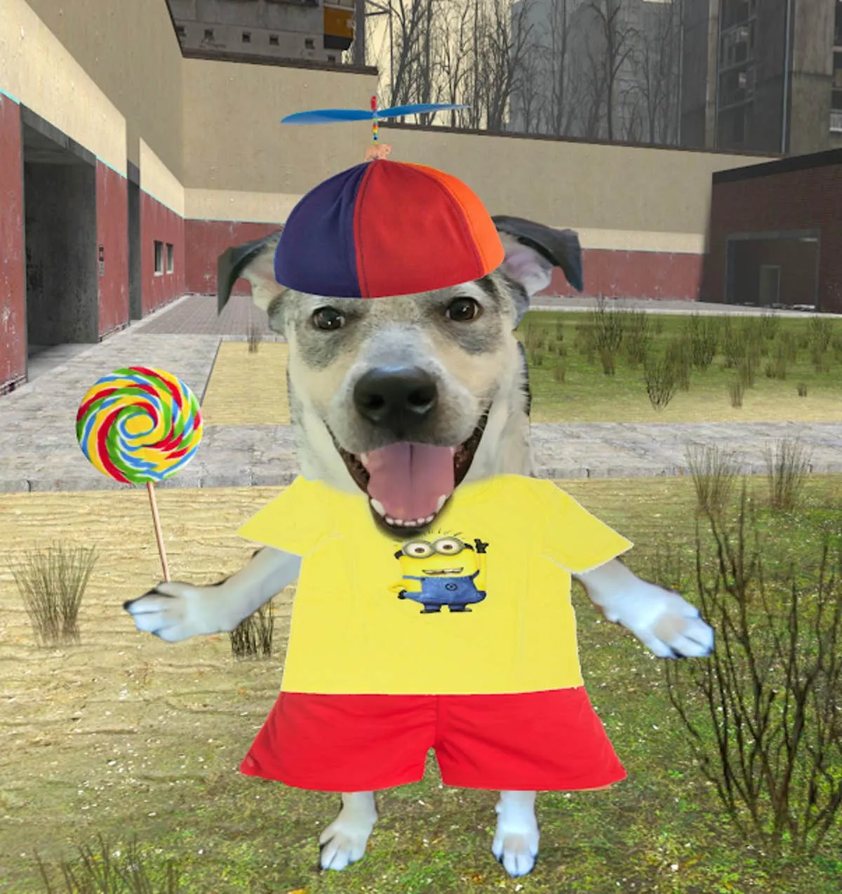 goofy-dog-spinny-hat-1-3043375186