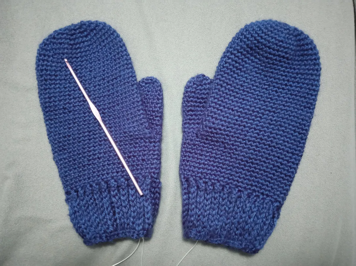 IMG_20260219_204810026