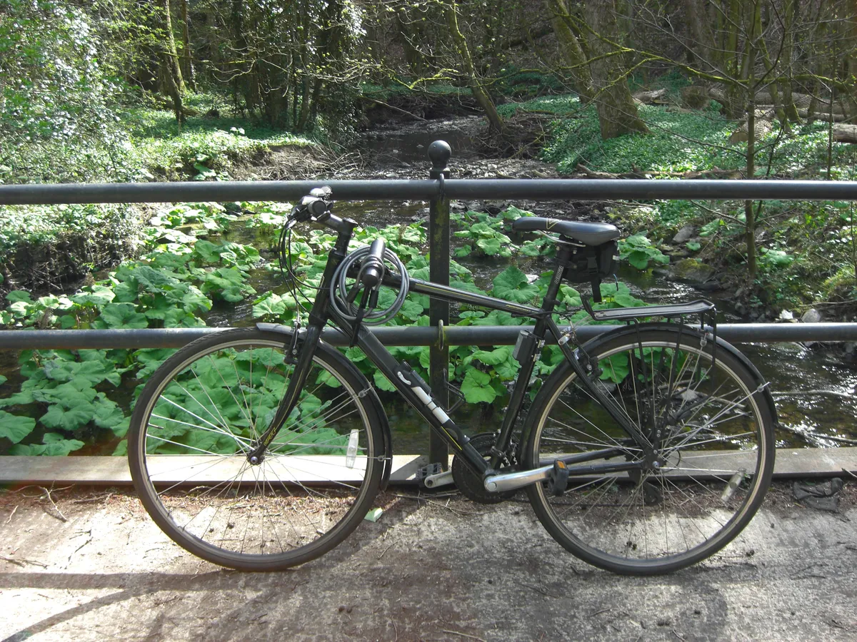 A picture of a black hybrid bicycle leaning against a black metal railing on a small bridge over a shallow, rocky river in woodland. In the background, there is lots of greenery at the base of the trees growing on each side of the river, and green water plants are growing in the river, which are visible through the bike frame and bridge railing.