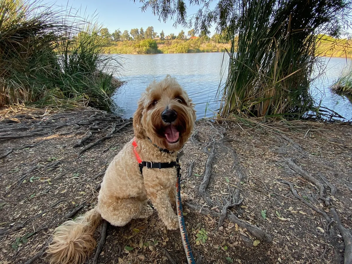 00B7A8D0-2741-41DA-8C2D-1CBD0E49CF32