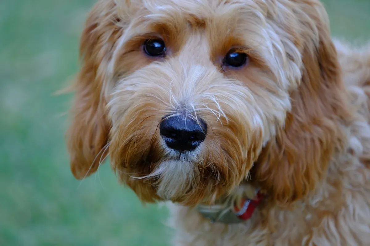 02004458-B84D-44DB-AEB4-63CA53FC3A4C