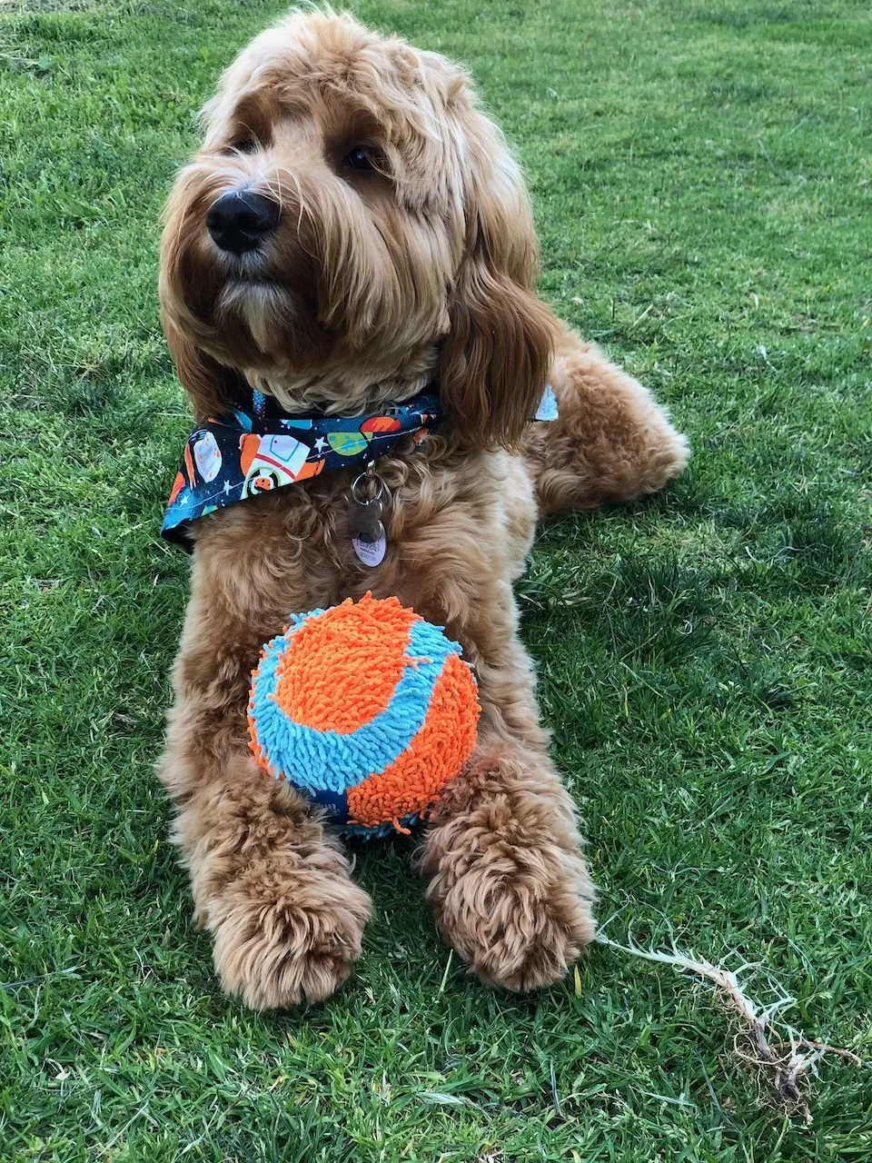 089B024B-84BF-4F78-9DC5-80617B0FD14F