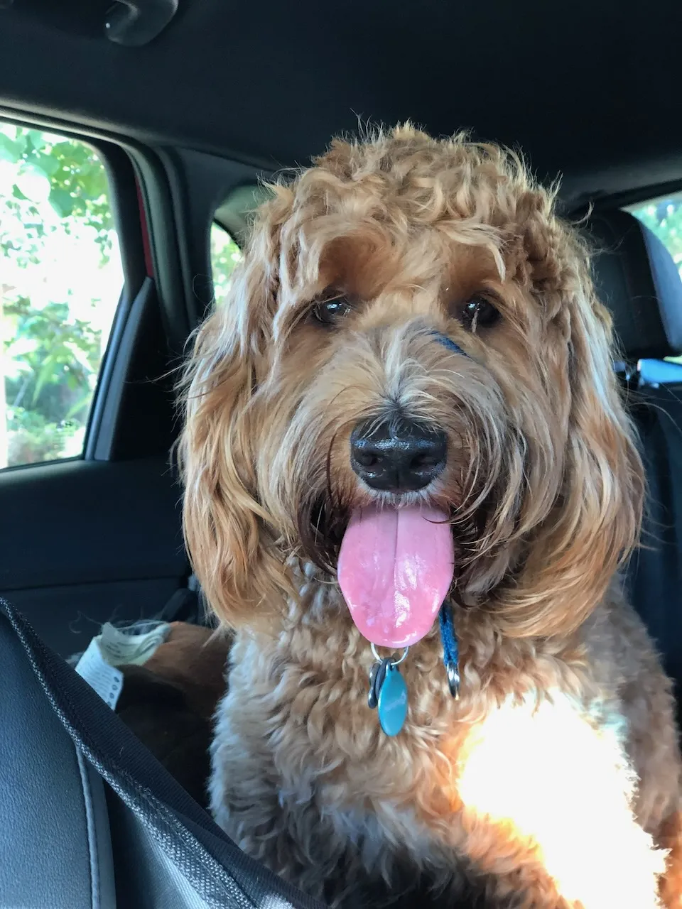 092DEE7C-33FF-4403-81B5-781D528EA878