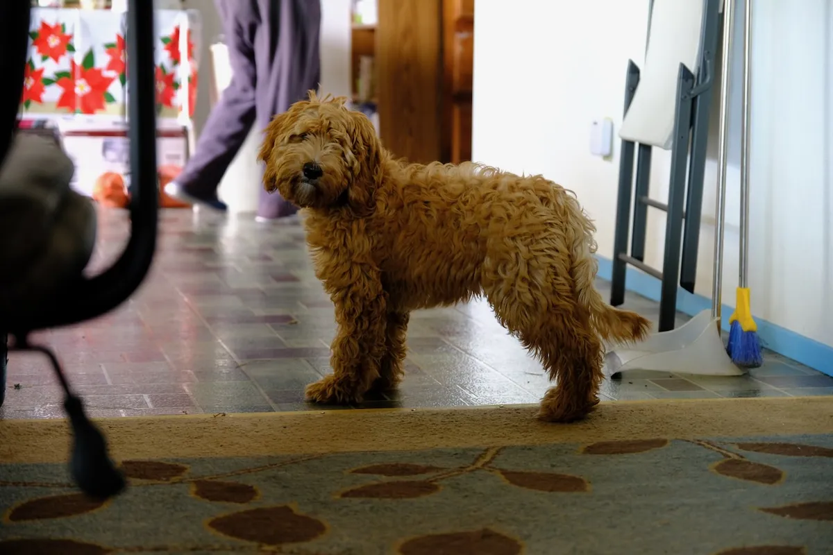 1637071C-BBF5-4FC9-AB72-E6827711CF20