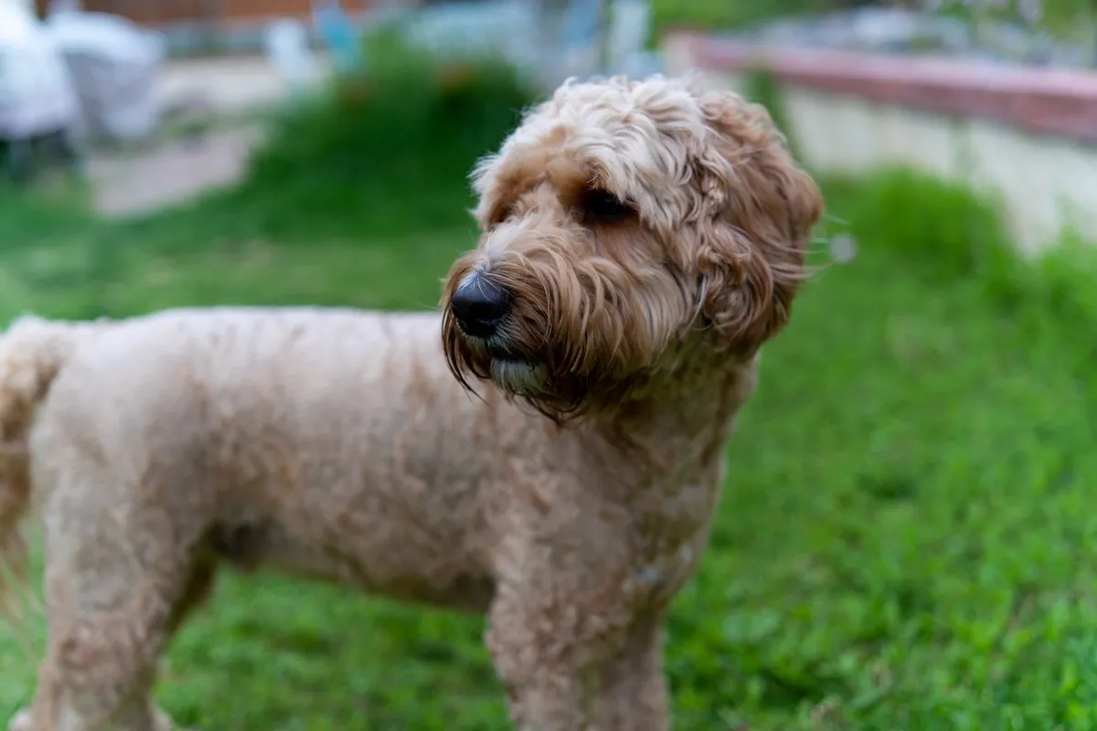 1759FCA9-FD27-40F9-9C0E-F37075E0B4F9