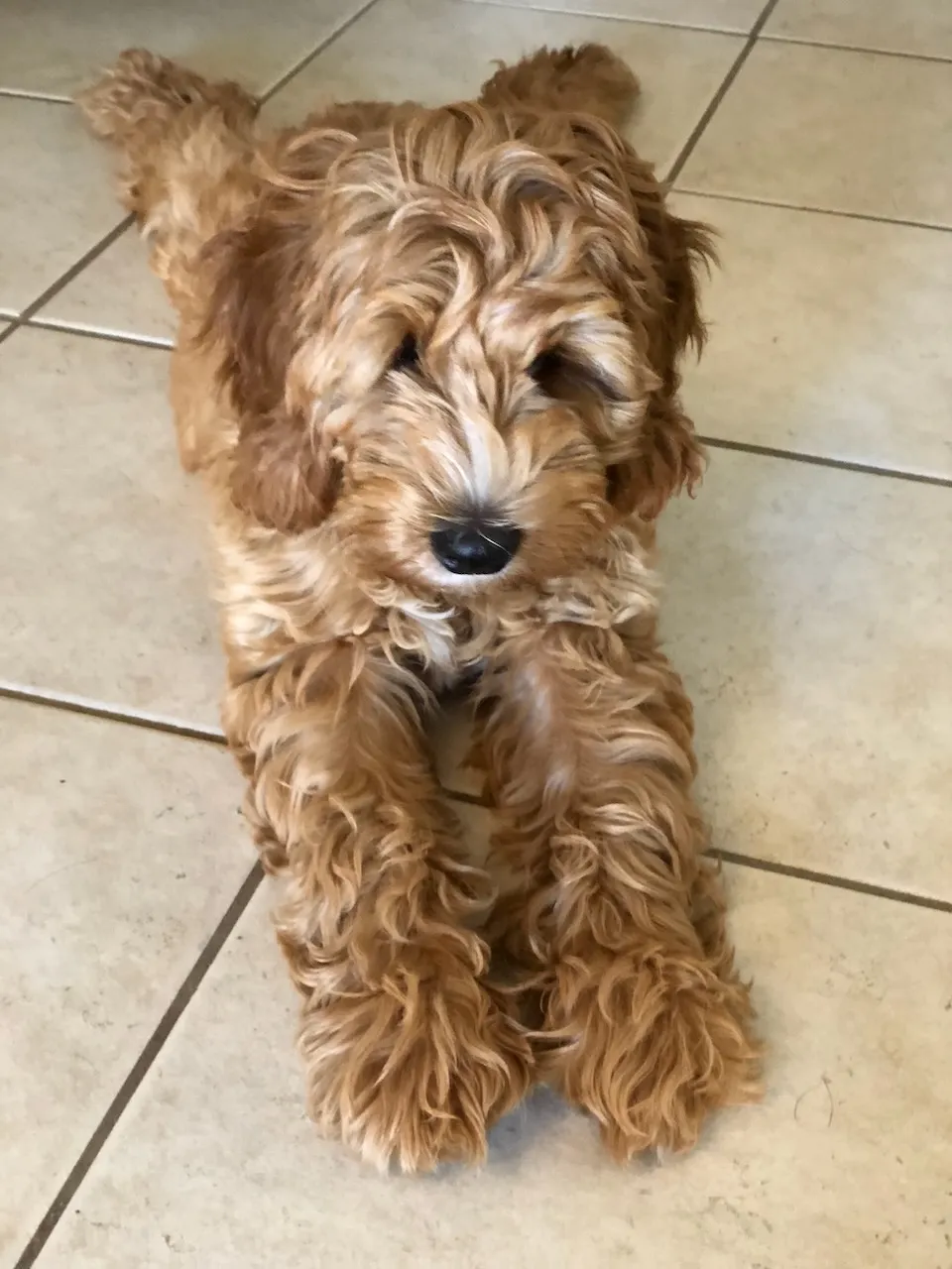 17DFC1DF-79FA-40A4-92AB-88D718A93109