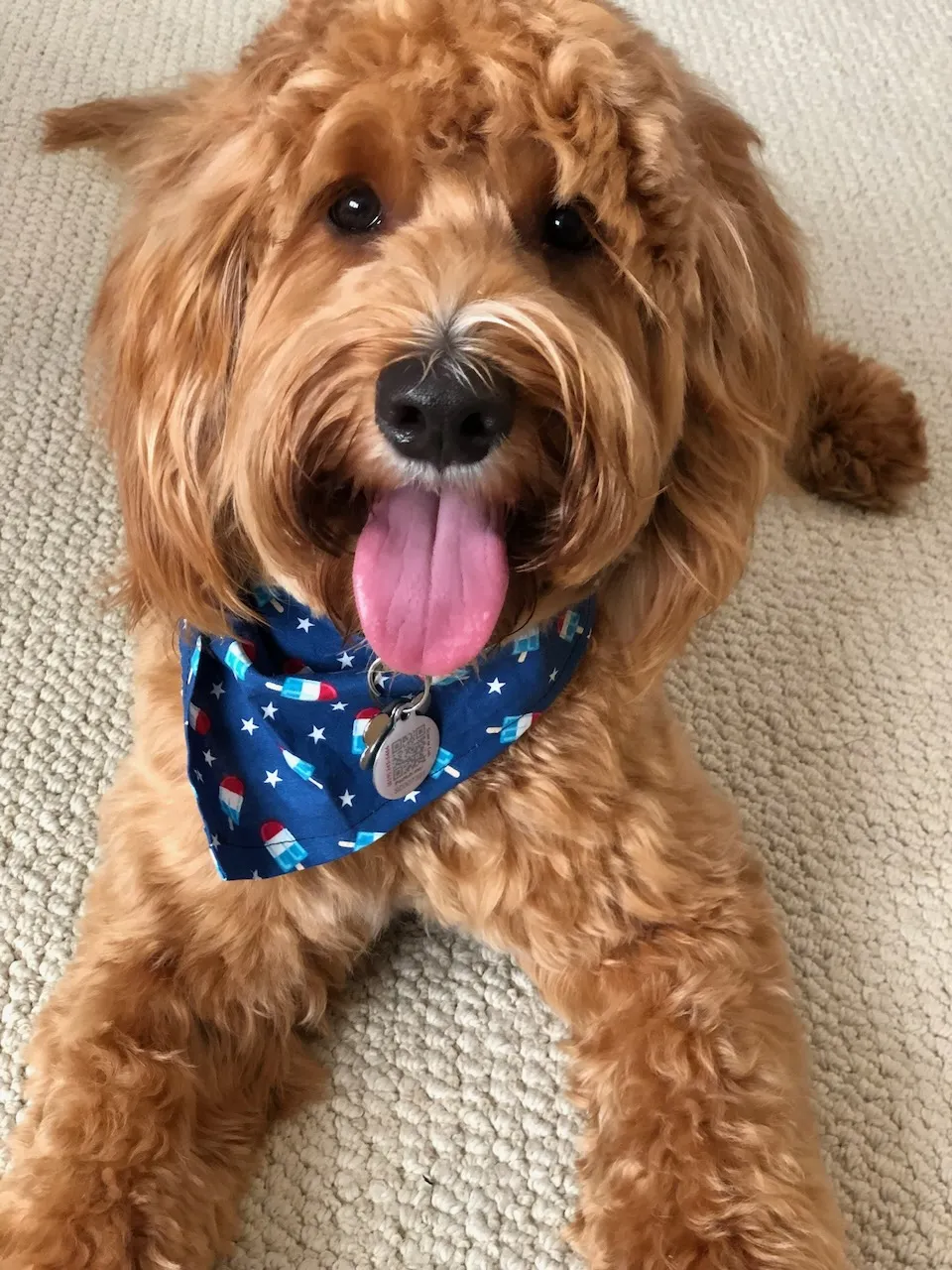 2314425F-3245-4EDC-BD87-2CA368EACB29