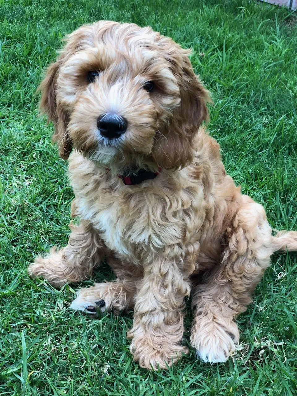 59AA4360-7FE7-4FEC-BA8F-45A7DB086A9C