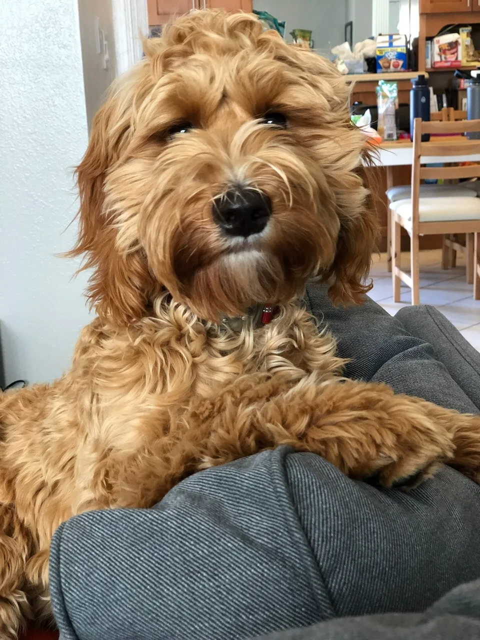 5BE82603-B309-4646-A30C-3DACFECAAE55