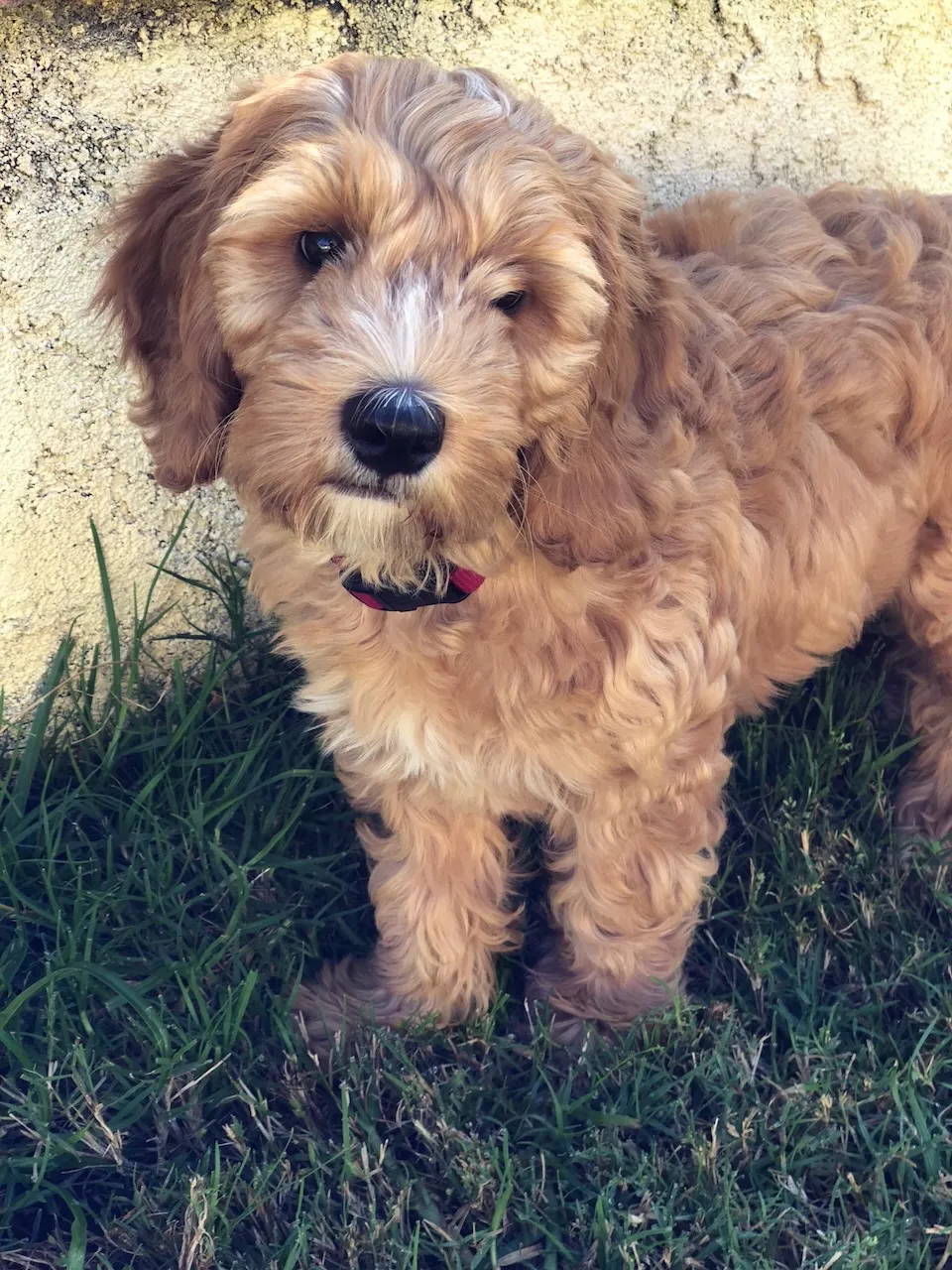 5D15E81C-AD15-4BB6-8984-5F84AB5BA469