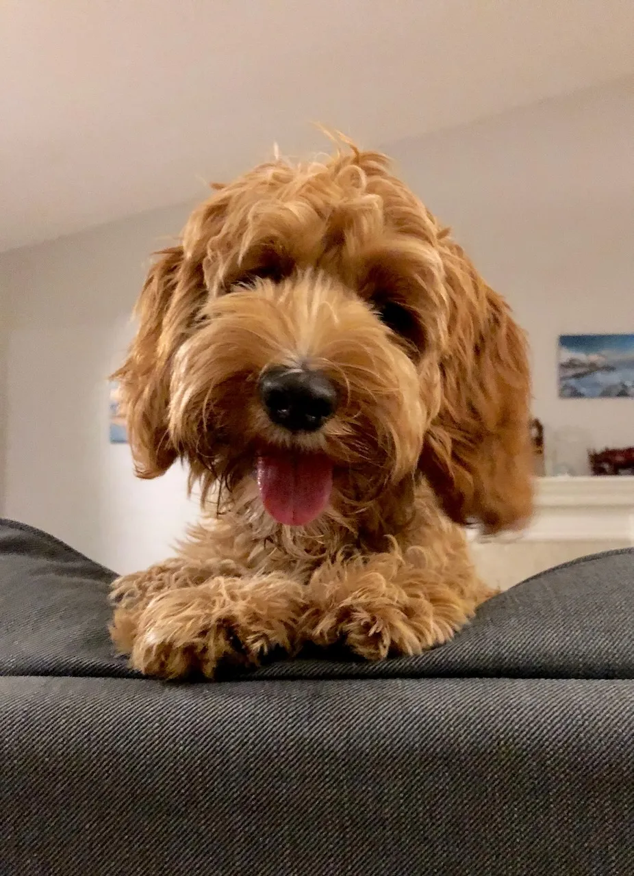 6DC2CE34-DC9B-47BC-B16F-E18CFB74B20E