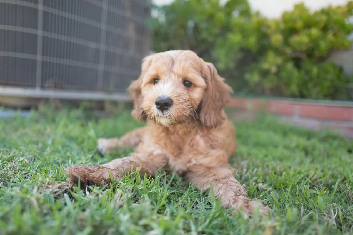 6FE437AC-CB41-4B83-B2A5-FA1A052CFD7E