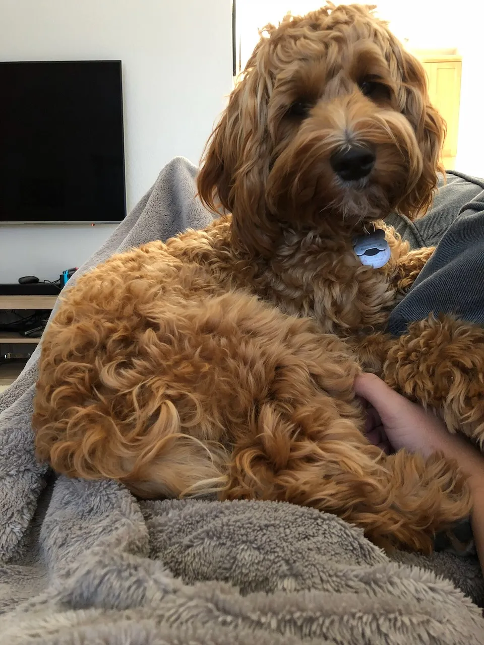 72FA09D0-7986-4451-9C98-7577696B72E3