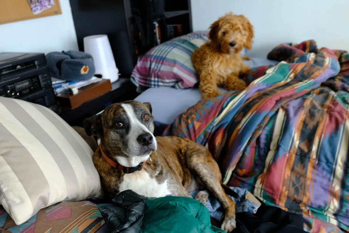 7923ADED-46DA-4481-A9E0-2835A443FD61