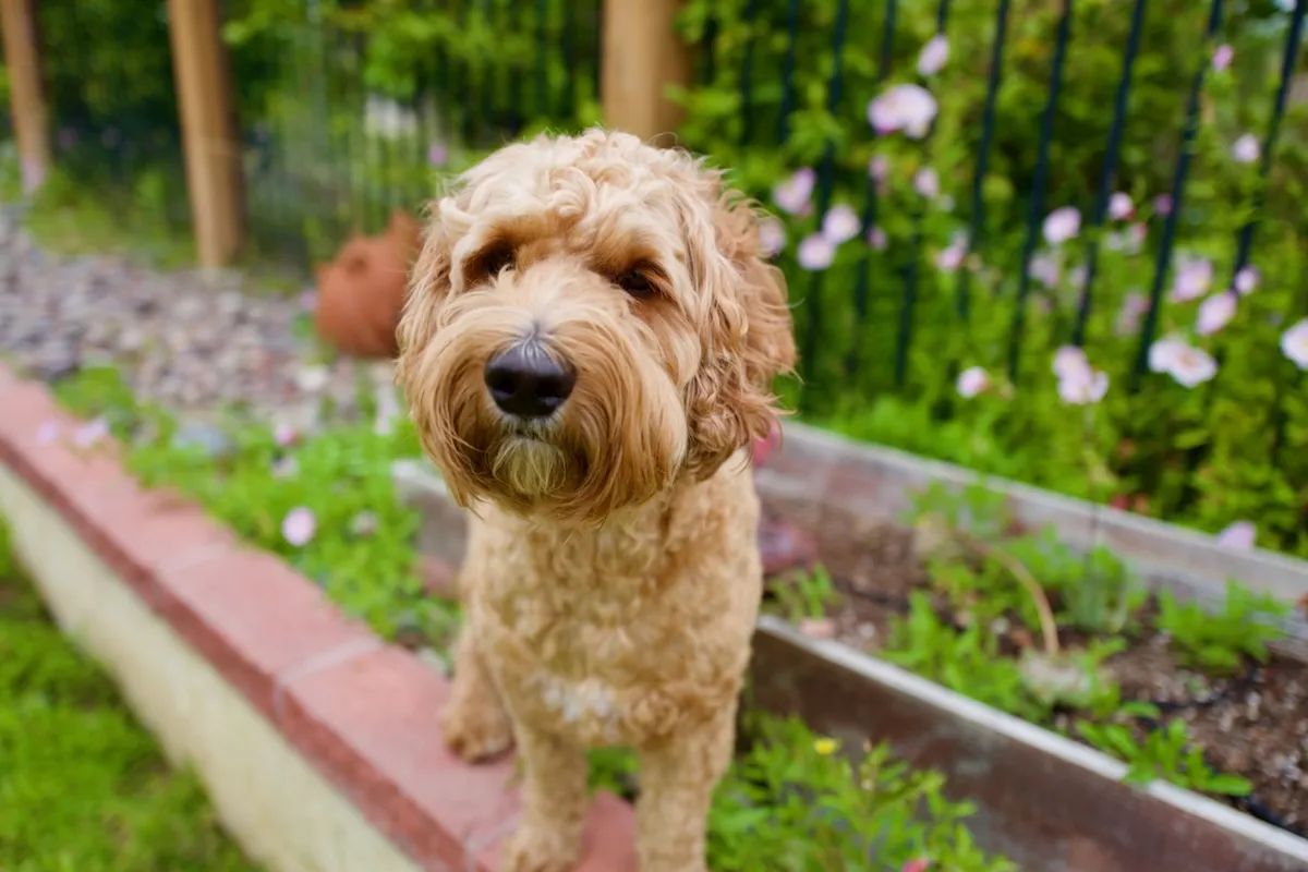 7A396A12-DAD1-4126-824E-7760F1F4972F