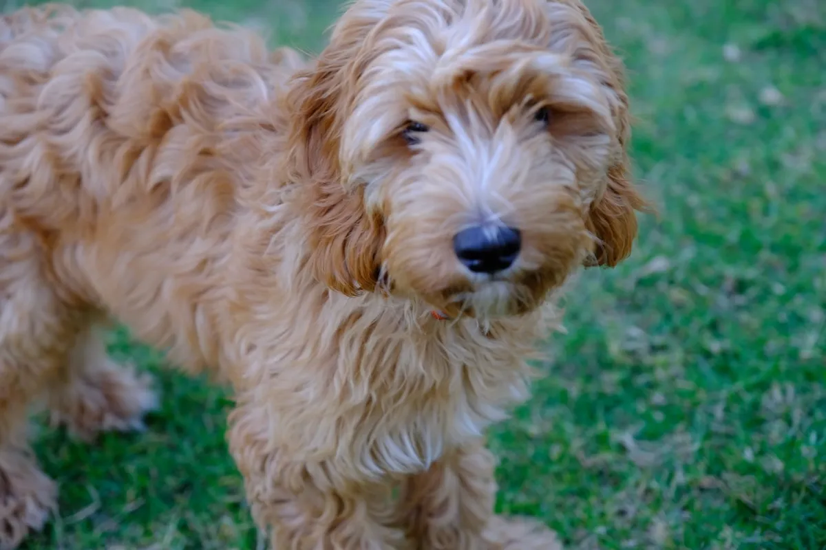 7B2705A7-B885-406F-A40D-AEA8D9B1D6C7