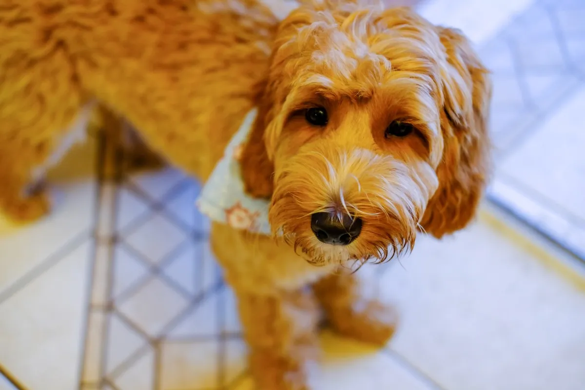 7DADA35D-B4AA-4E41-A51F-A62F1AD21DC5