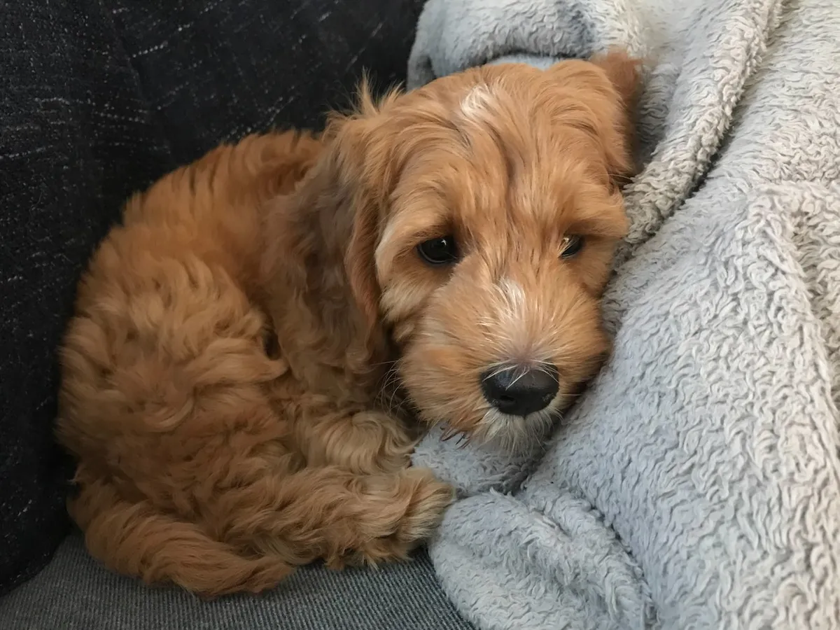 80306333-F279-4812-8075-175017740522