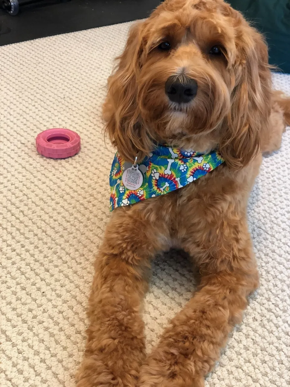 80767EAC-FA7A-45B8-BC6F-097451E8F213