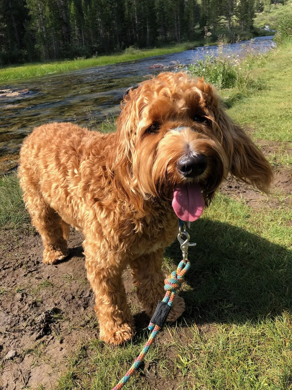 80D6C3D9-D411-43AD-8F5E-117D11422CF8