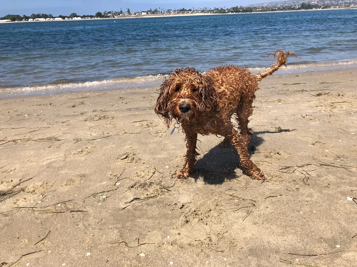 852BC73F-B58C-4BAB-A469-31FF538BE76F