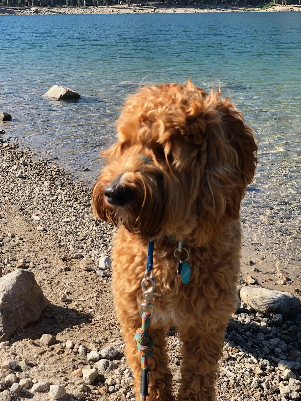 92978F28-2E88-42CE-93EA-10CCBE94A0B3