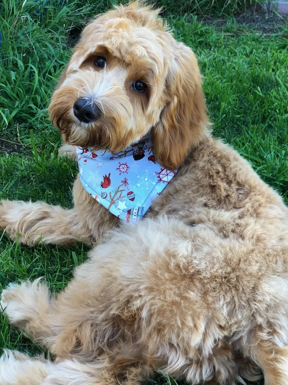 993B347B-30ED-451D-BE78-46F722B4967B