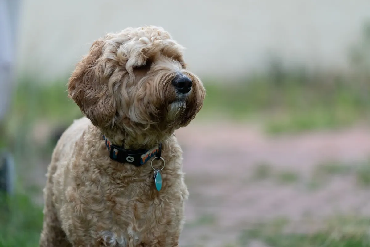 9A651DB6-B0B4-46CB-8CB2-2C84C8F3F5EF